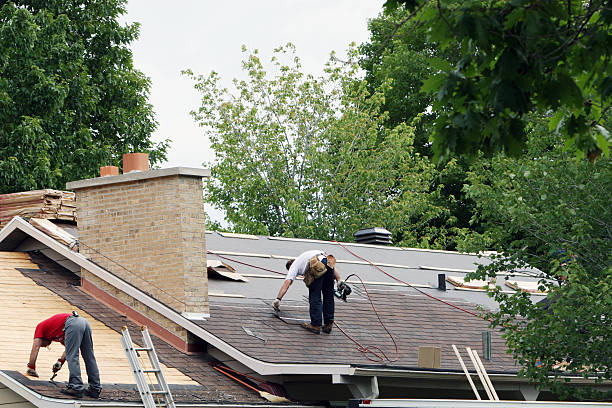 Best Roof Gutter Cleaning  in Poquoson, VA