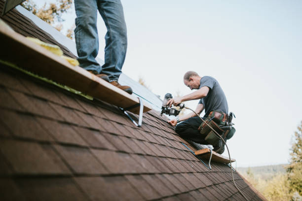 Quick and Trustworthy Emergency Roof Repair Services in Poquoson, VA